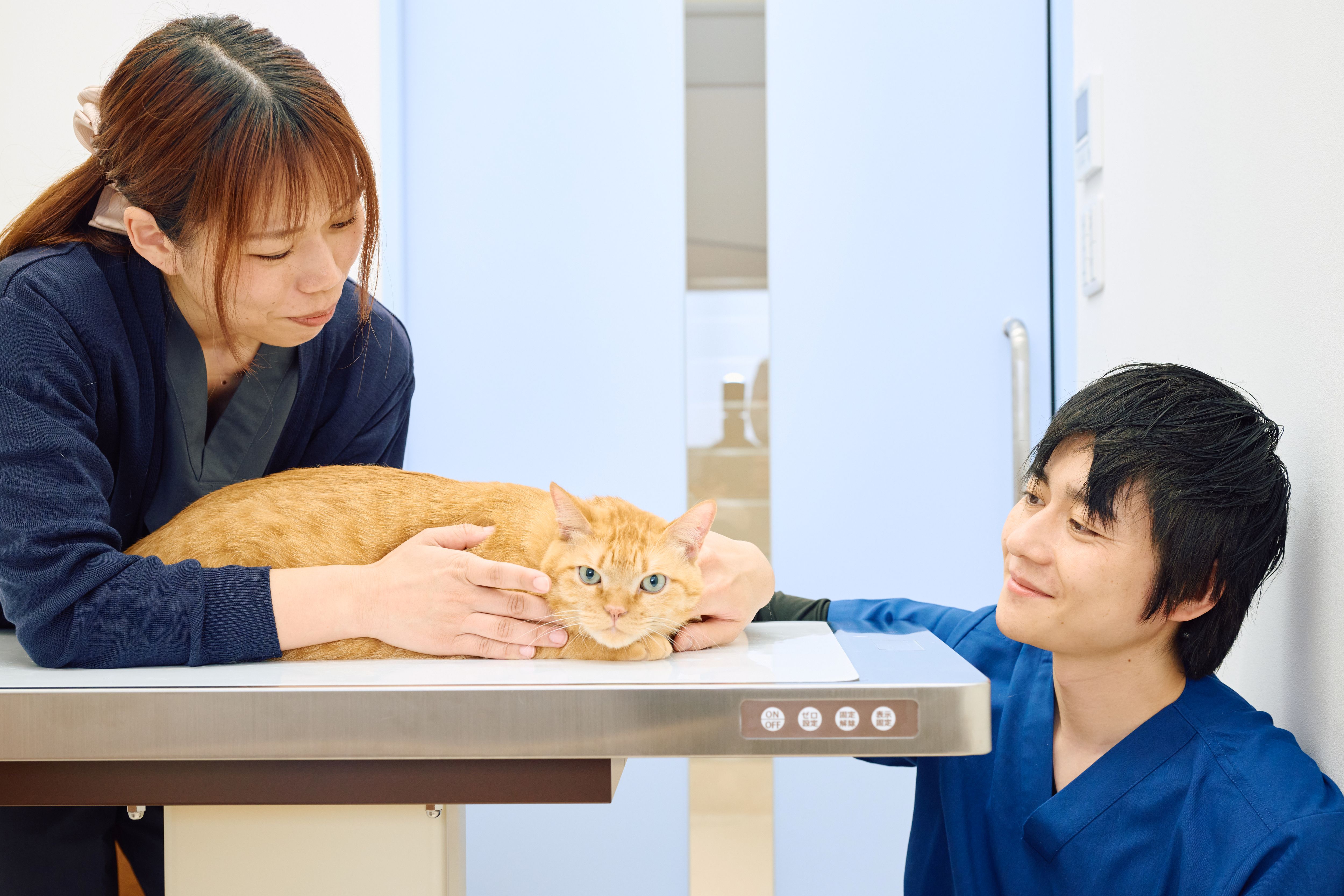 企業画像3