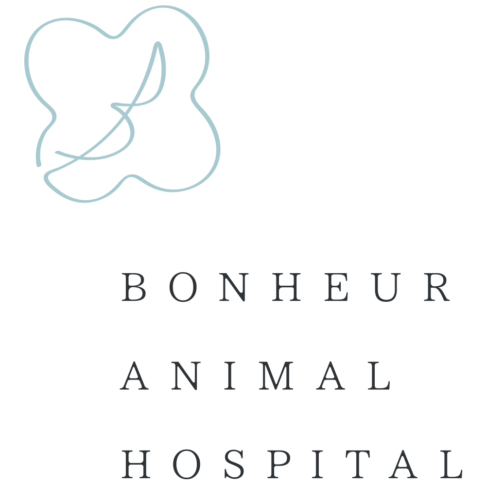 company_logo
