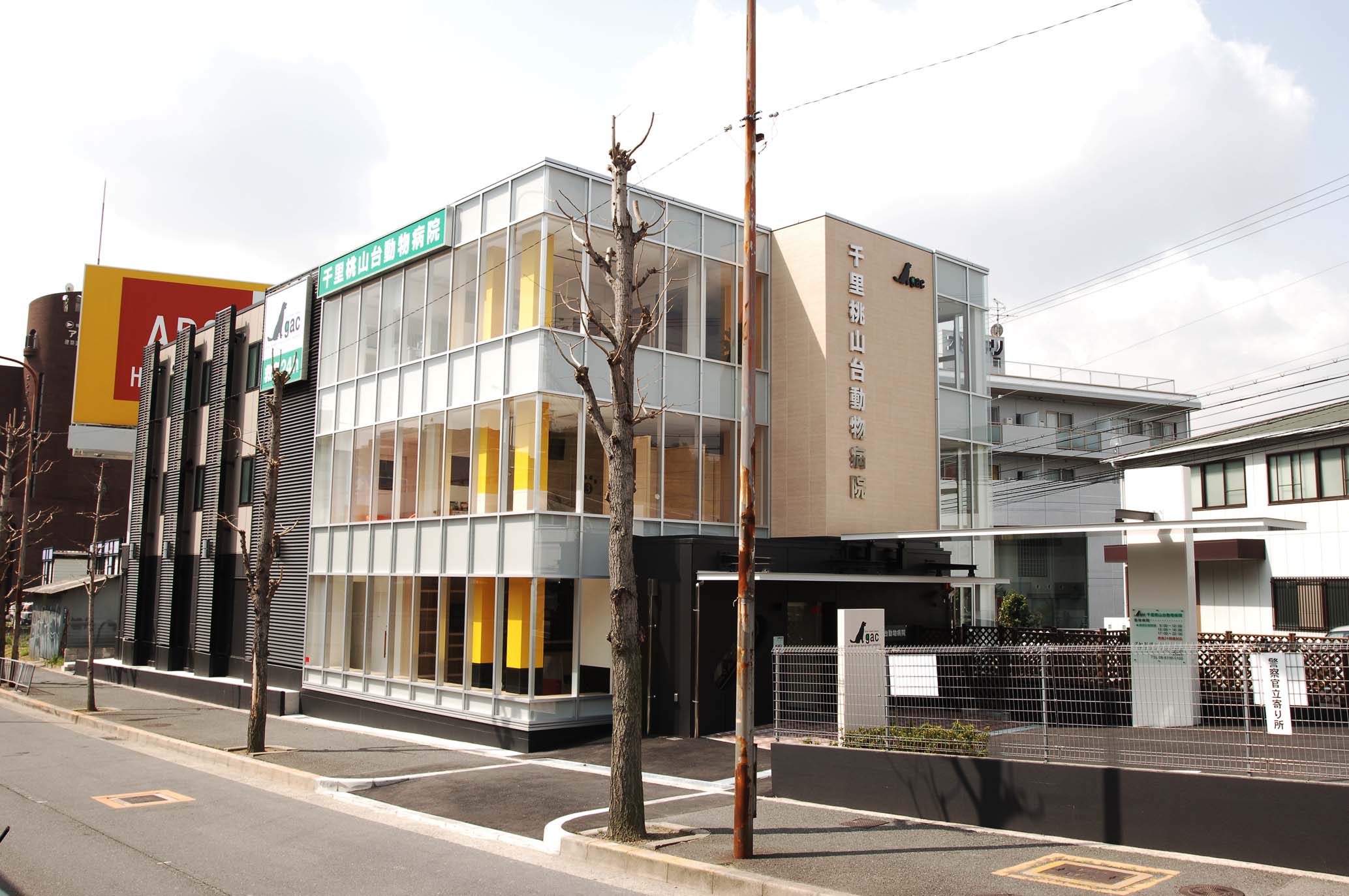 Cat on a bench in the park