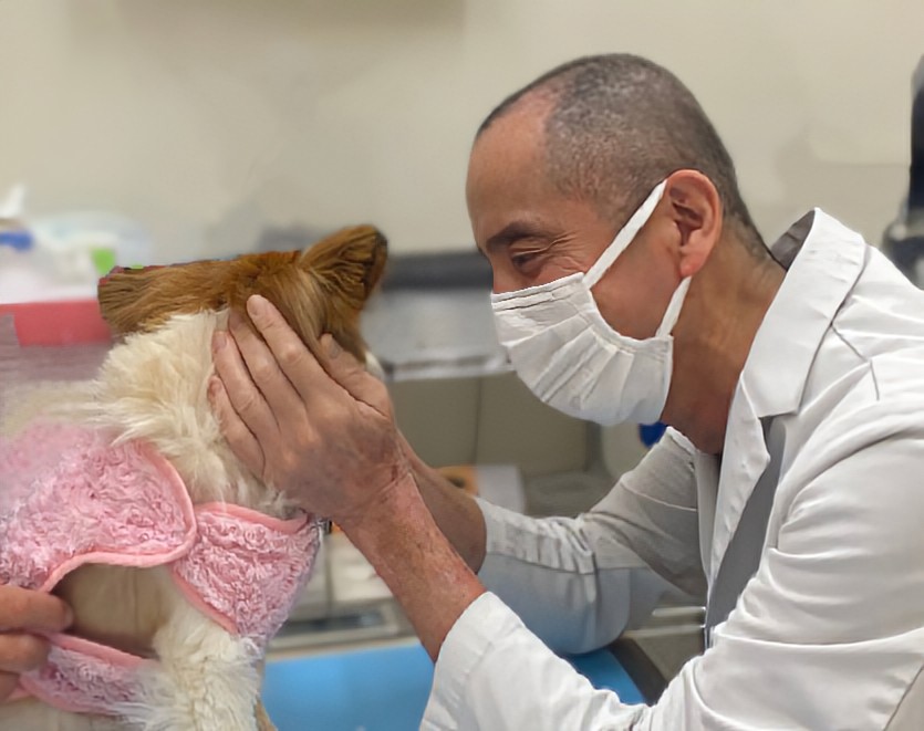 動物との思い出画像