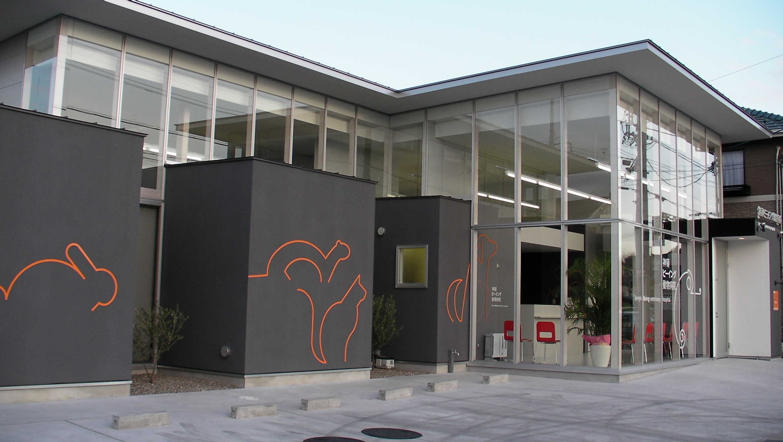 Cat on a bench in the park