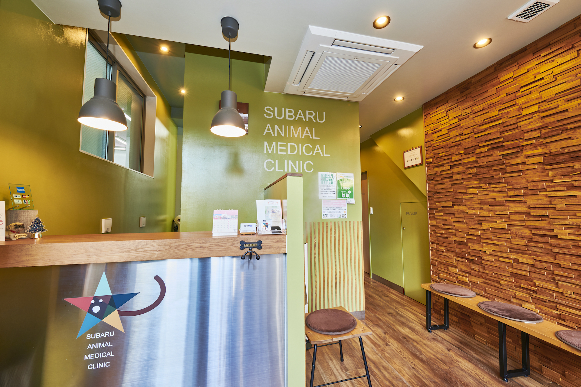 Cat on a bench in the park