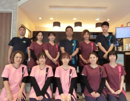 Cat on a bench in the park