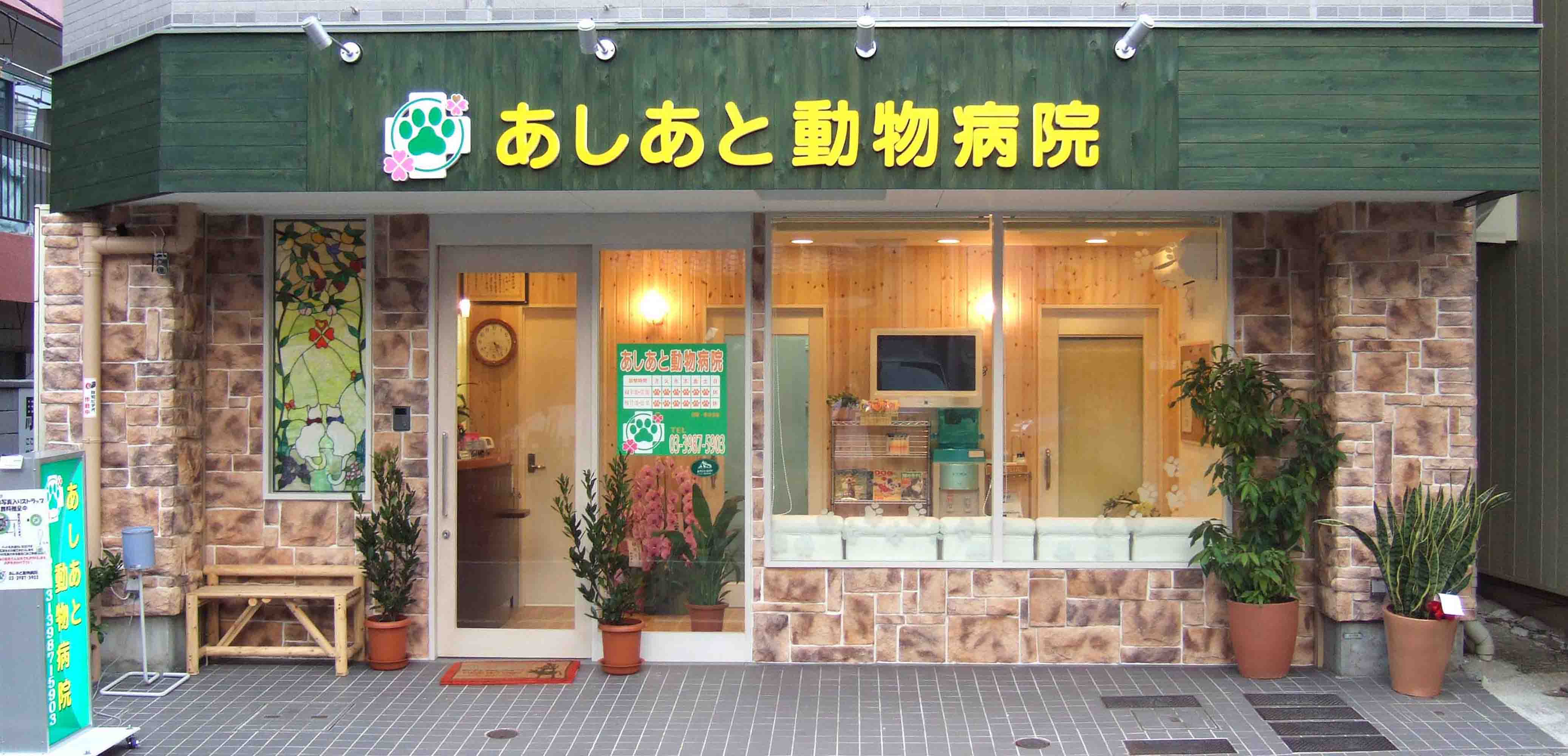 メイン画像