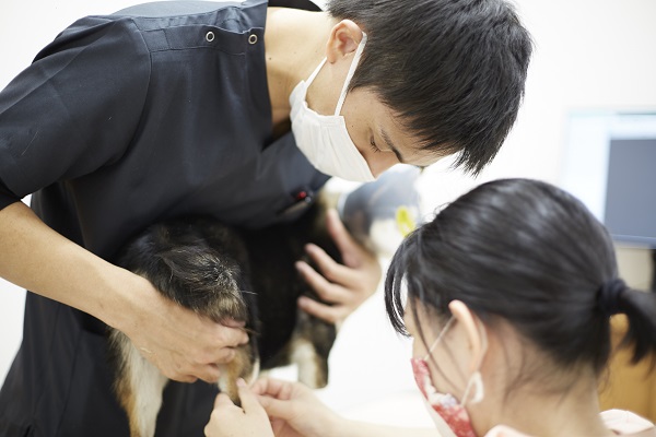 orange document icon