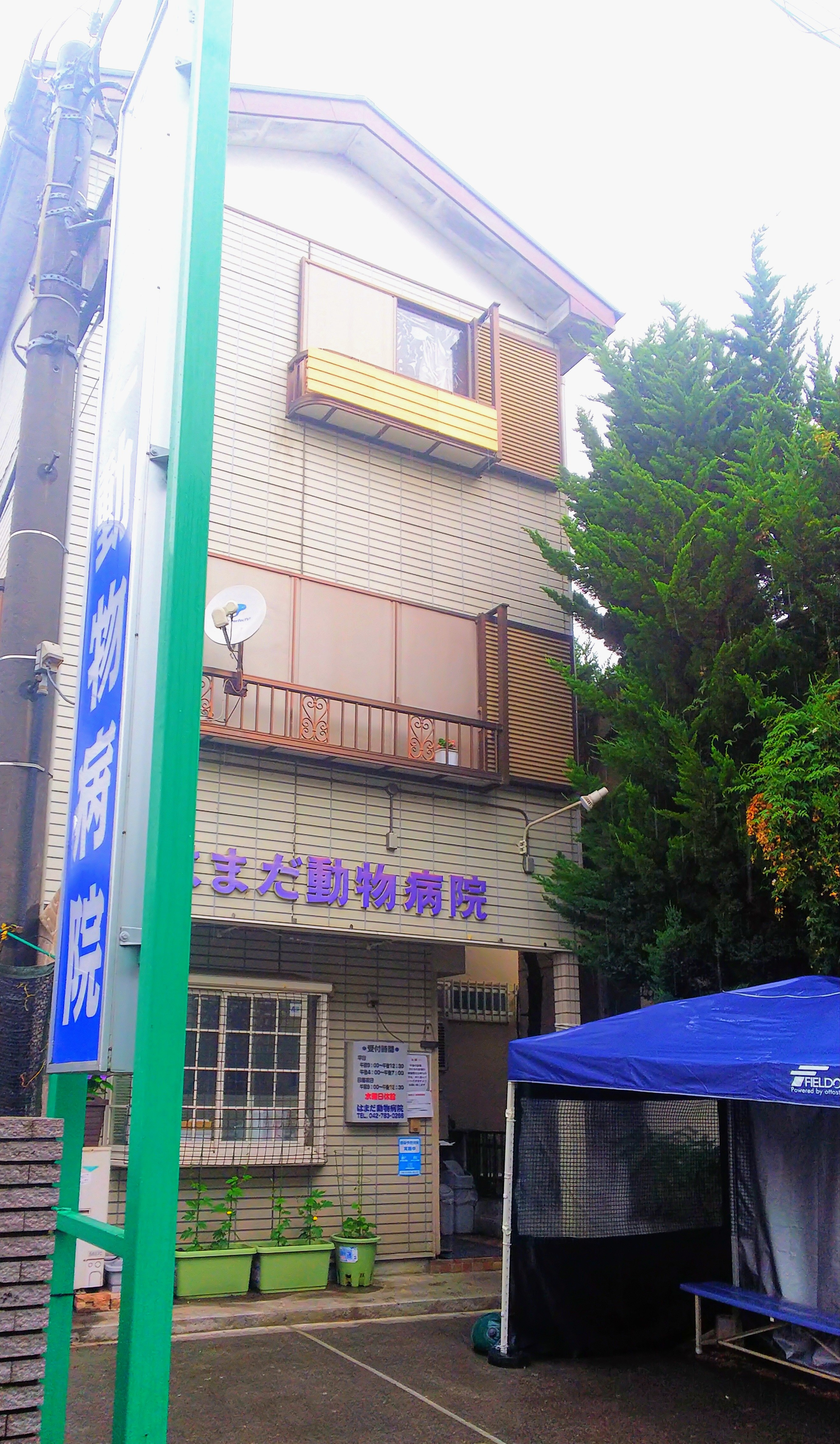 orange document icon