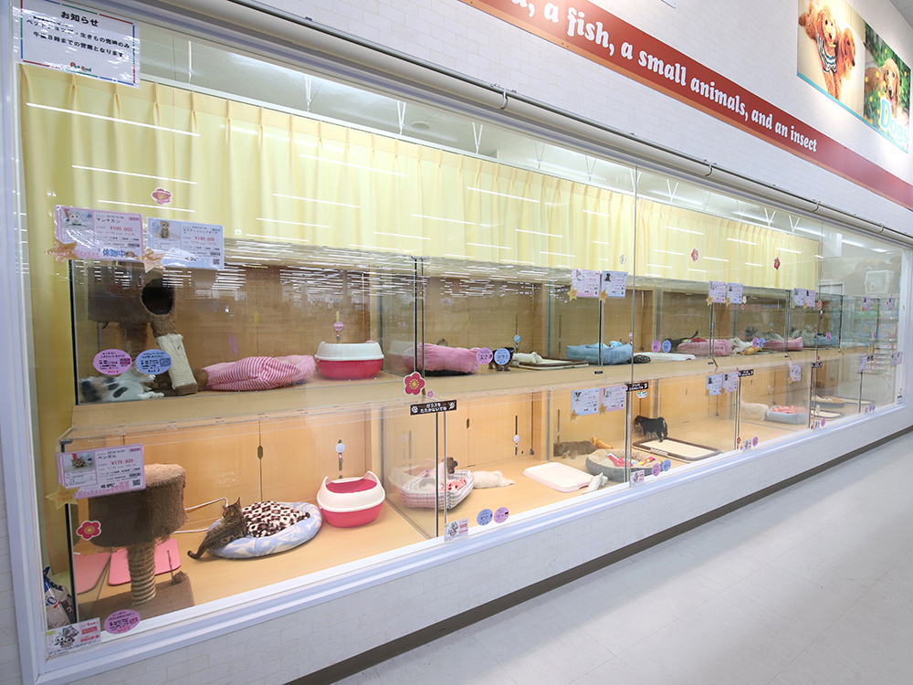 orange document icon