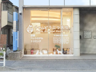 メイン画像