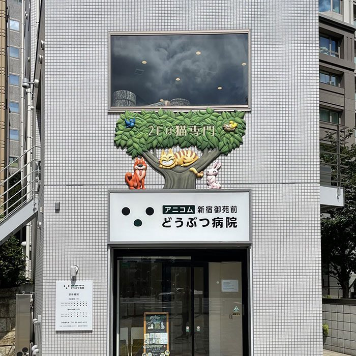 メイン画像